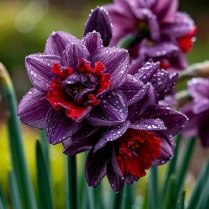 Нарцисс Минт Флер купить по цене от 2000р. в интернет-магазине «Посадика» с доставкой почтой в в Великие Лукие и по всей России – [изображение №1].