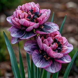 Нарцисс Моргатн Мотив купить по цене от 2000р. в интернет-магазине «Посадика» с доставкой почтой в в Великие Лукие и по всей России – [изображение №1].