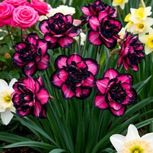 Нарцисс Золотая Корона купить по цене от 2000р. в интернет-магазине «Посадика» с доставкой почтой в в Великие Лукие и по всей России – [изображение №1].